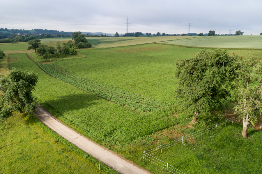 Landschaft BMR Neckar-Odenwald-Kreis